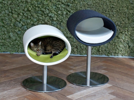 pet.interiors Photo 2