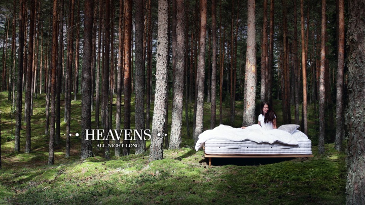 HEAVENS Photo 10