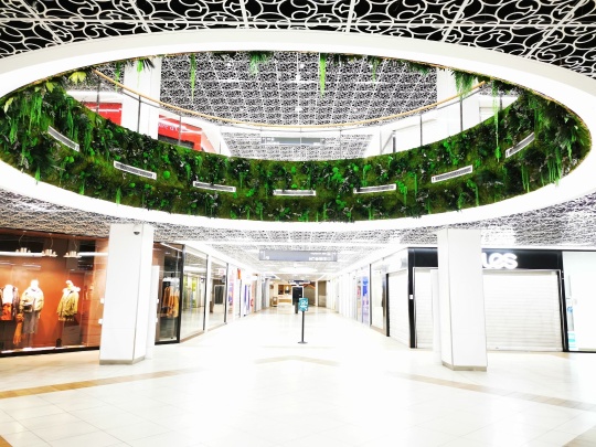 Végétal Indoor Photo 2