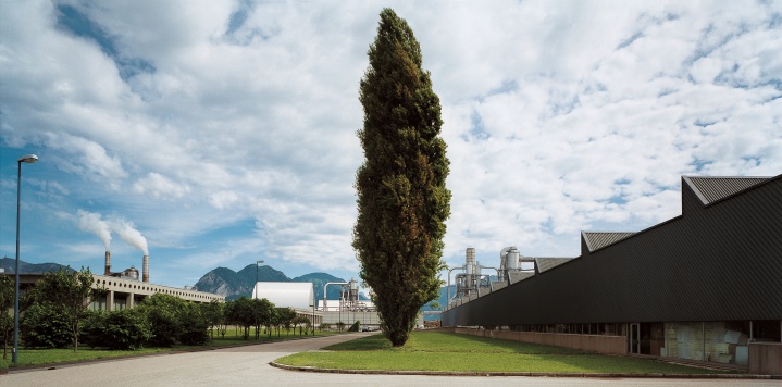 Fantoni Photo 3
