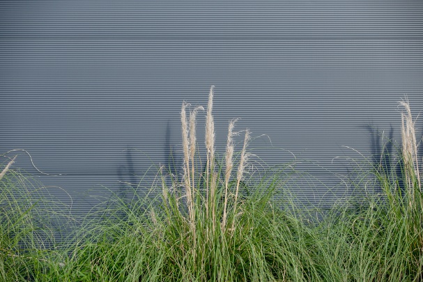Rexa Design Photo 2