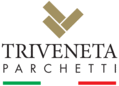 TRIVENETA PARCHETTI - logo