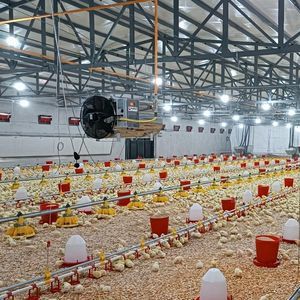 генератор горячего воздуха на природном газе