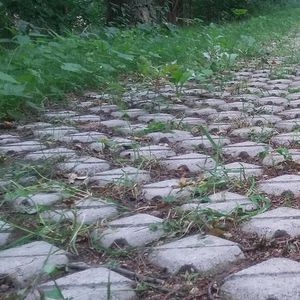 газонная решетка из бетона