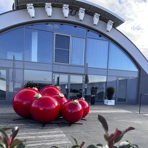 рождественские украшения из стекловолокна