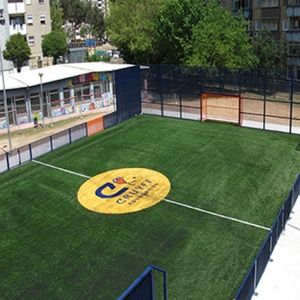 мультиспортивная площадка для коллективной организации