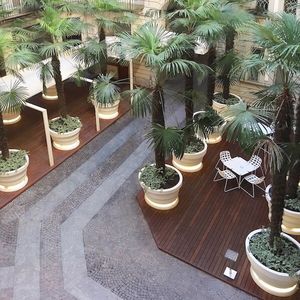 террасные доски из дерева