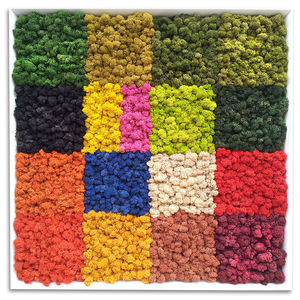 стабилизированная живая изгородь