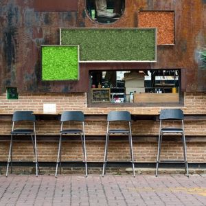 стабилизированная живая изгородь