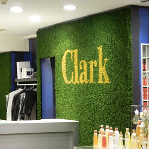 стабилизированная живая изгородь