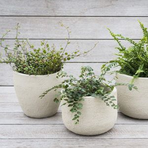 садовый горшок из терракоты 1