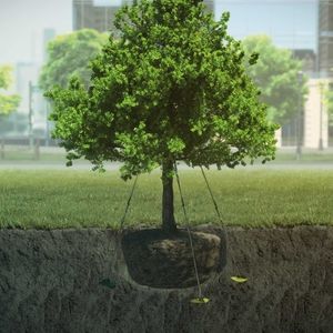 крепление для дерева с кабелем