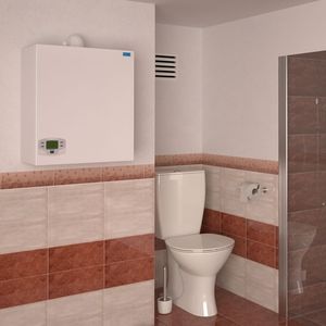 газовый паровой котел