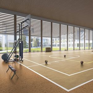 спортивное покрытие для интерьера