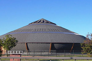 гонт для крыш