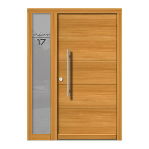 входная дверь 1