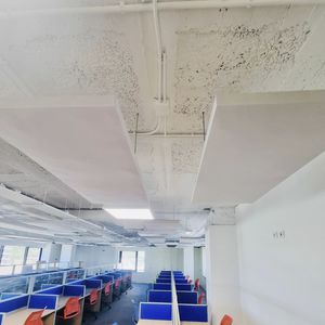 акустическая панель для потолков