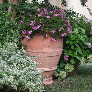 садовый горшок из терракоты