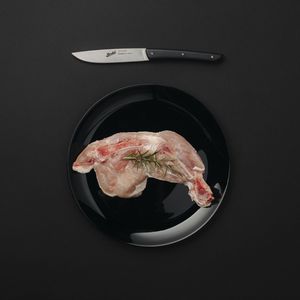 нож для стейка с пластиковой ручкой