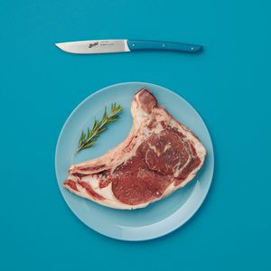 нож для стейка с пластиковой ручкой