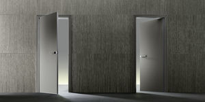 дверь для интерьера