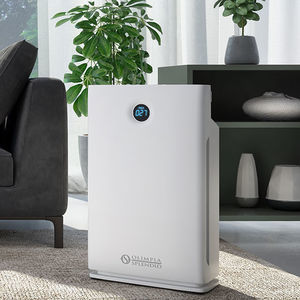 очиститель воздуха с активированным углем