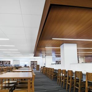 подвесной потолок из фанерованной древесины