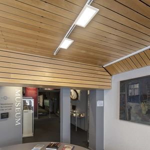 светильник на рейке LED