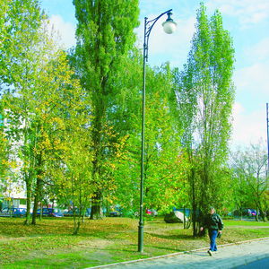 городской фонарный столб