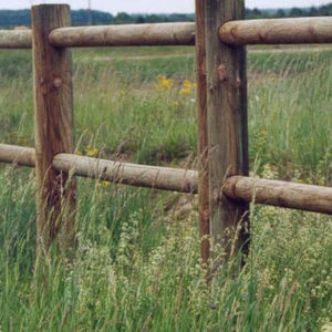 решетчатый забор