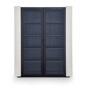 современный книжный шкаф