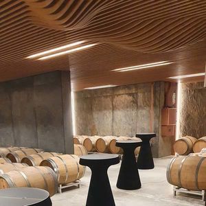 акустическая панель для подвесных потолков 1
