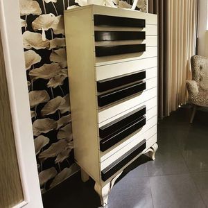 шкаф для одежды уникальный дизайн