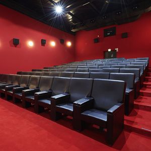 кресло для кинотеатра из ткани