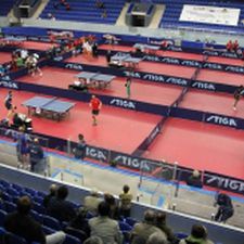 спортивное покрытие для интерьера
