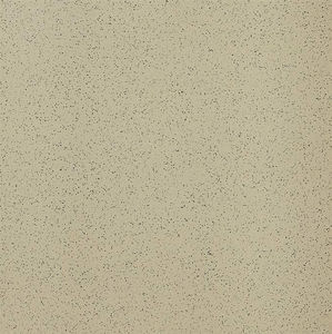 плитка для интерьера / напольная / из керамогранита / 20x20 см