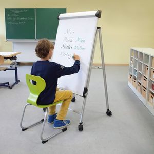 магнитная картина