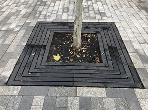 квадратная решетка для деревьев