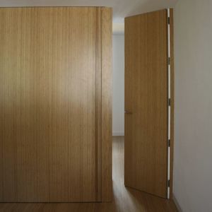 дверь для интерьера