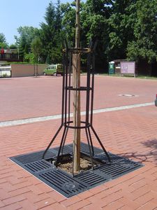 квадратная решетка для деревьев