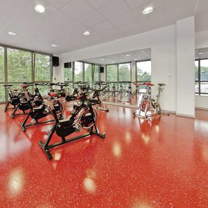 спортивное покрытие для интерьера