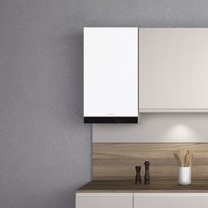 газовый паровой котел