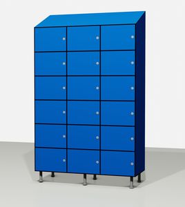 шкафчик RFID