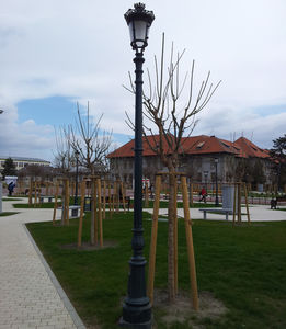 городской фонарный столб