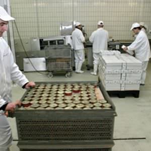 напольное покрытие из жидкой эпоксидной смолы