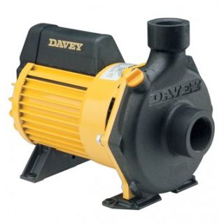 Насос бассейна - DYNAFLO® : 62001 - DAVEY