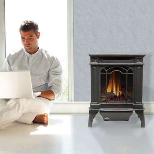 Газовая печь-камин - GVFS20 - Napoleon Fireplaces - 5 кВ...10 кВ / традиционная / из чугуна