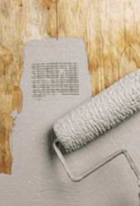 Краска герметик - ENERSHIELD-HP - BASF USA - для стены