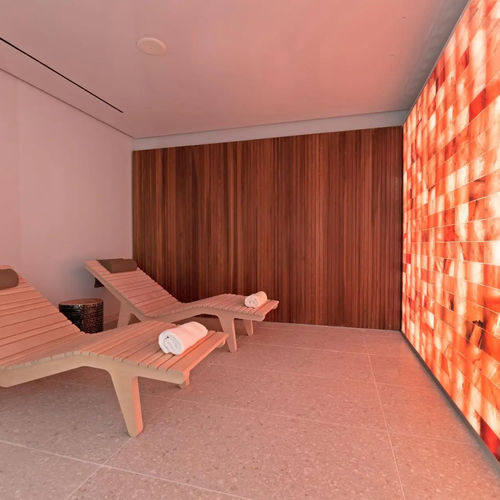 Соляная стена для профессионального использования - HIMALAYAN - STAR WELLNESS - в комплекте / с подсветкой / стандартная