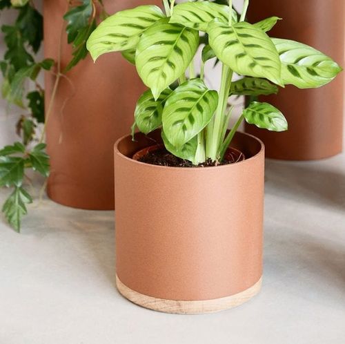 Садовый горшок алюминий - Plant Collectors - VIJ5 - из дуба / отдельностоящий / круглый